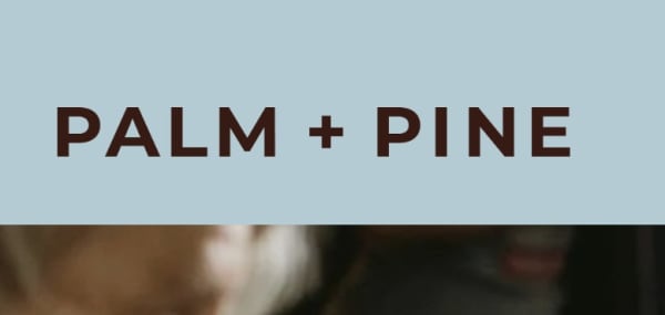 Palm + Pine