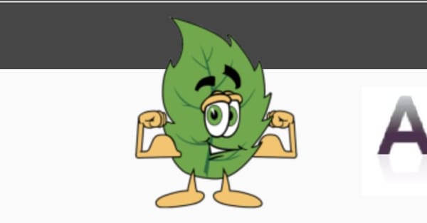 A New Leaf Tree Service 