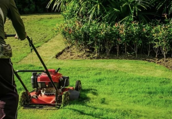 LNJ Trucking & Landscaping