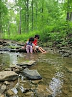 Free Forest School
