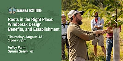 Roots in the Right Place: Windbreak Design, Benefits and Establishment