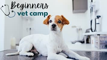 Beginner's Vet Camp - 2026 Session 2