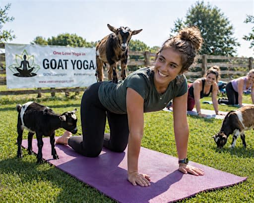 Goat Yoga - Richfield Farmers Market
