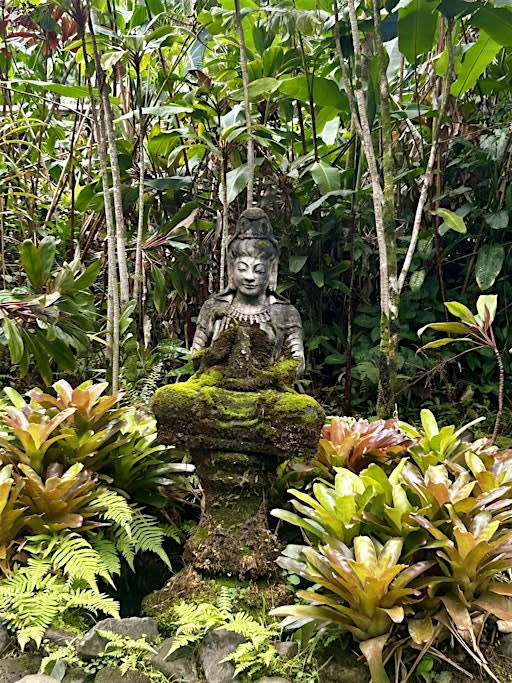 Copy of Tuesday Evening Meditation