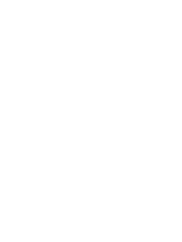 Bao Toan Kitchen & Bar