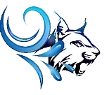 Wildcat