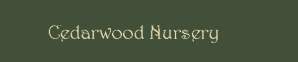 Cedarwood Nursery