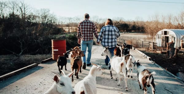 Silly Goat Farm