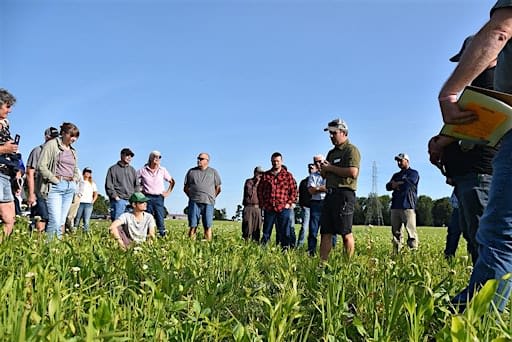 From Dirt to Healthy Soil: August 15, 2026