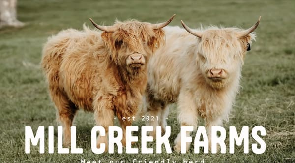 Mill Creek Farms