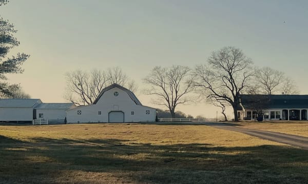 The Rustic Meadow