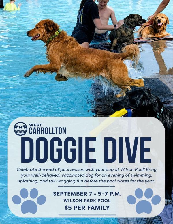 Doggie Dive City of West Carrollton at Wilson Pool