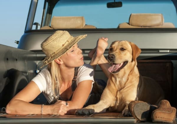 Mighty Dog Services