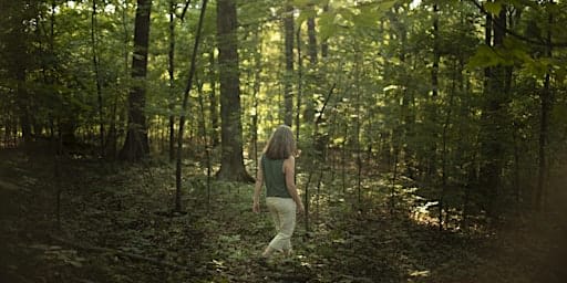 Mindful Walk and Forest Bathing
