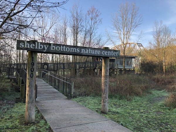 Afternoon Tea at the Nature Center