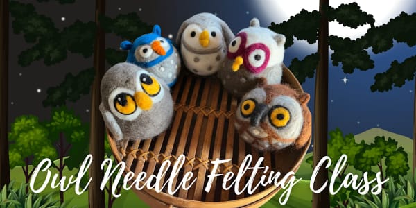 Owl Needle Felting Class