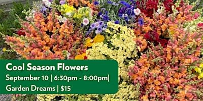 Cool Season Flowers