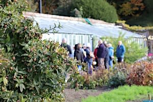 Shiloh Farm Walk