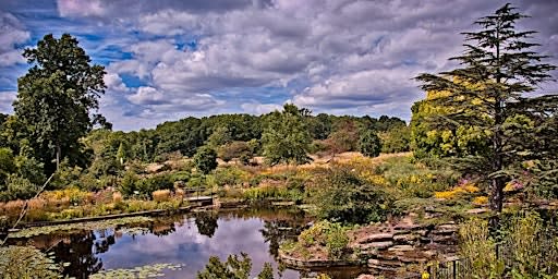 Master Your Camera Controls - Photography Workshop