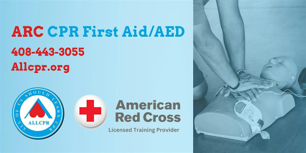 Red Cross Adult&Pediatric First Aid/CPR/AED class in Cleveland