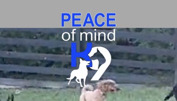 Peace of Mind K9