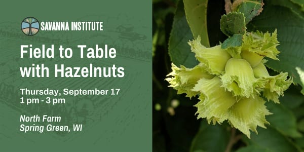 Field to Table with Hazelnuts