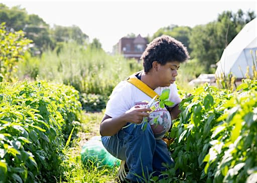 Community Herbalism Days