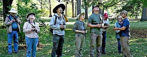 Arboretum Fall Migration Bird Hikes
