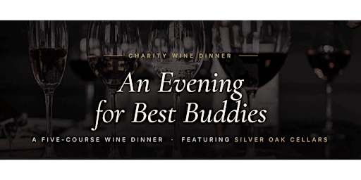 An Evening for Best Buddies