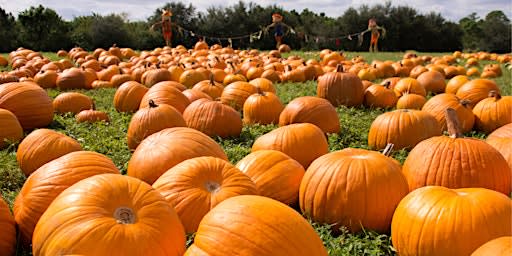 Community Pumpkin Giveaway/Opening Day At Evans Acres Family Farm