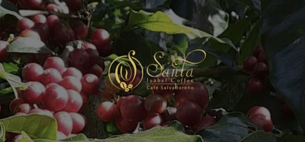 Santa Isabel Coffee