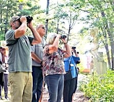 Fall Migration Bird Hikes