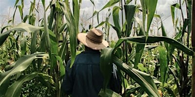 Private Pesticide CEU Training