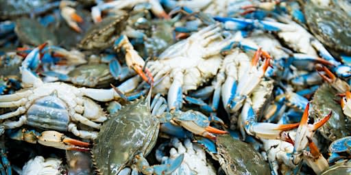 Crabs for a Cause 2026