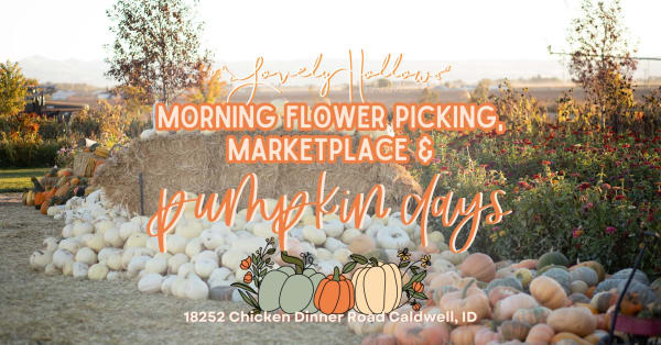 Last Pumpkin Days + Marketplace!