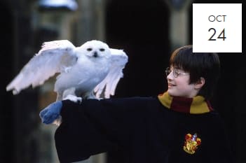Trivia Night: Harry Potter