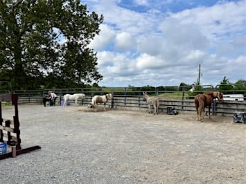 Pony Preschool September 19 (10am)
