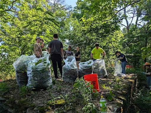 Volunteer Workday at Rambler Trust
