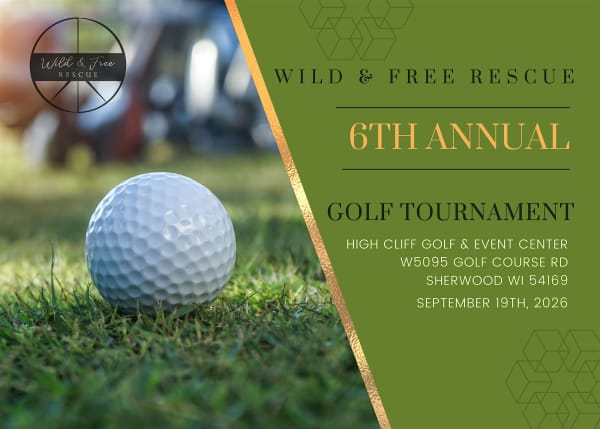 6th Annual Wild & Free Golf Outing 2026
