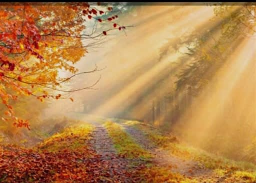 Autumn Mini Retreat with Tanja