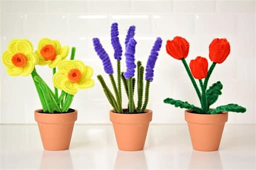 Twist & Bloom