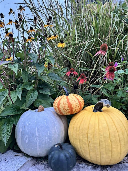 Autumn Equinox Women's Circle