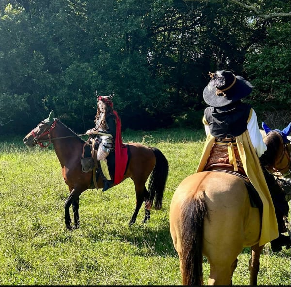 Dungeons and Dragons:  D&D One-Shot On Horseback Sunday Sept 6th