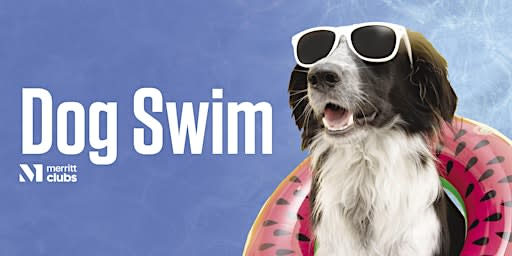 Dog Swim (Fort Avenue)