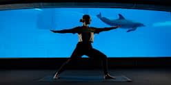 Morning Yoga: Underwater Flow