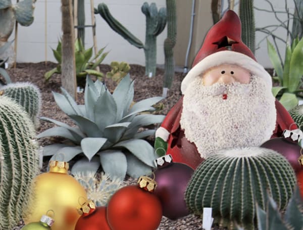 Santa at the Garden