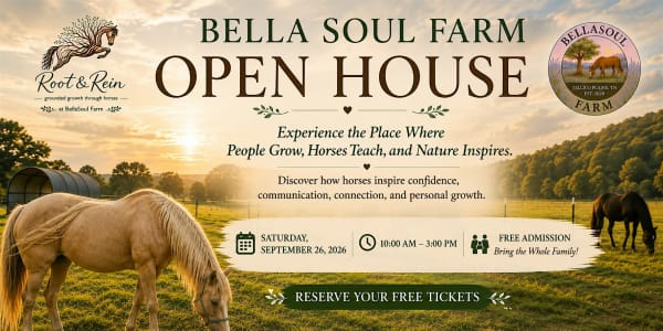 BellaSoul Farm & Root & Rein OPEN HOUSE
