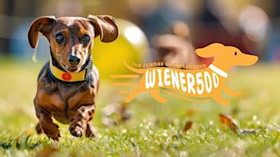 2nd Annual Friends of Portsmouth Wiener 500