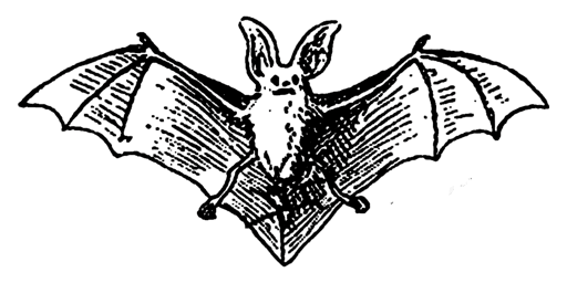 Spellbound Indy Dark Rave - November 2026 Edition