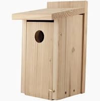 Bluebird Bliss - Build, Learn & Welcome Nature Home